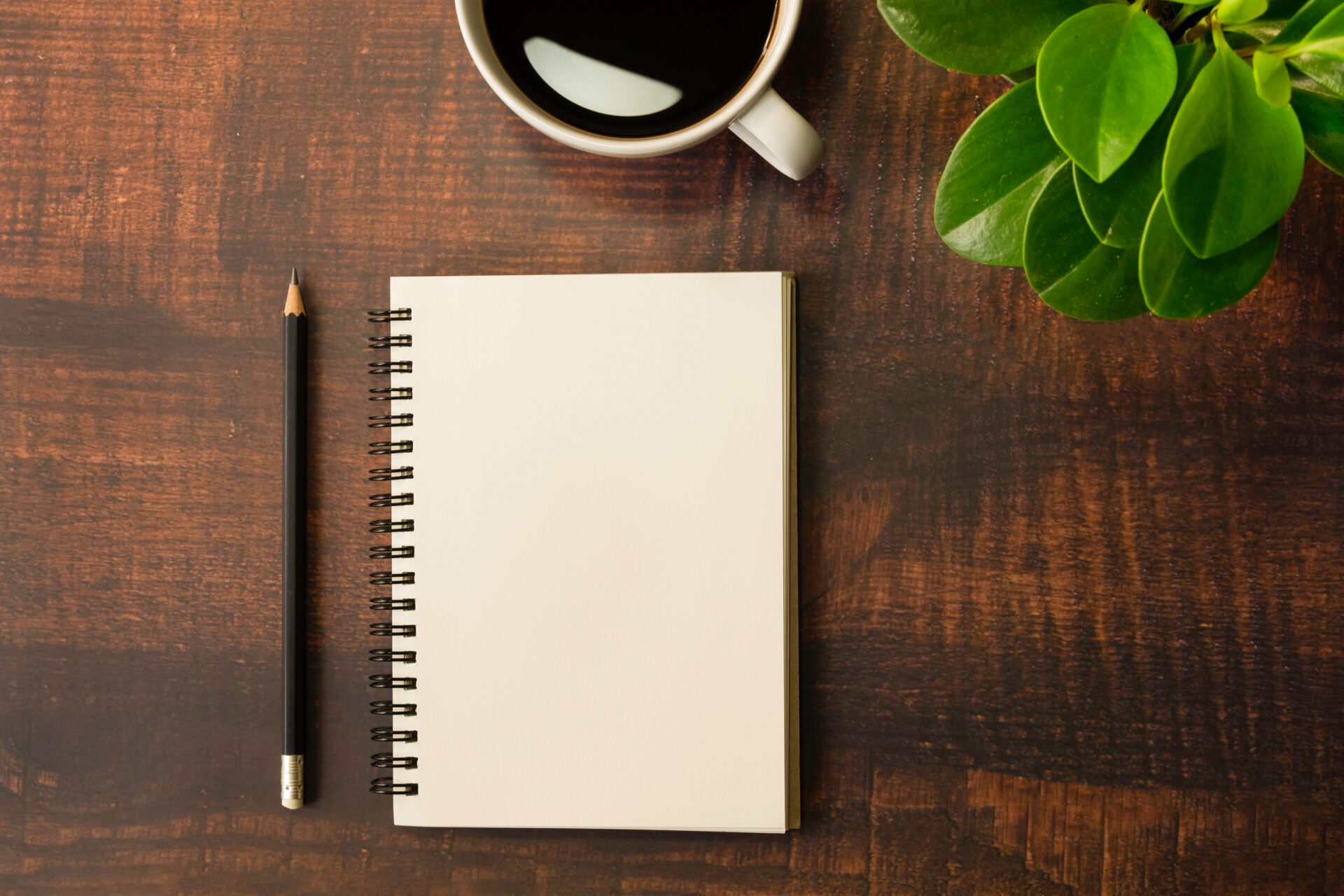 A notebook and pencil beside a plant and a mug of coffee on a wooden surface